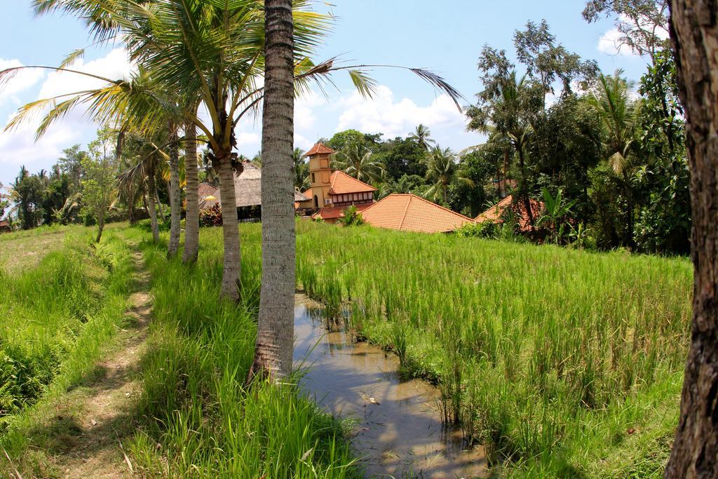 Hotel Villa Ubud Eksteriør billede