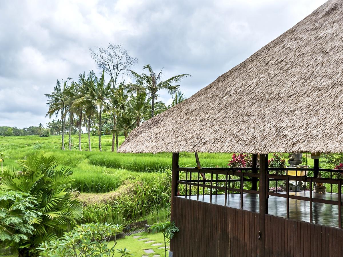 Hotel Villa Ubud Eksteriør billede